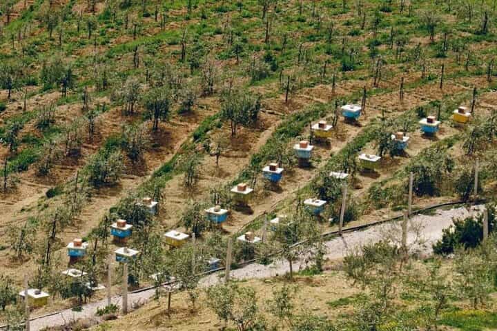 סיור פרטי במפל וראפי