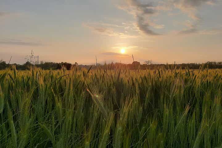 ביקור בקומו ובישול דגים מקומיים באיזור הכפר