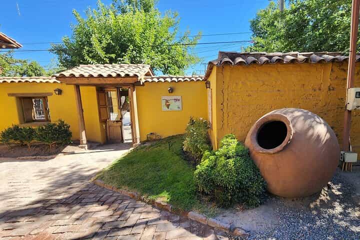 Private Portillo Ski Center and Visit Winery from Valparaiso