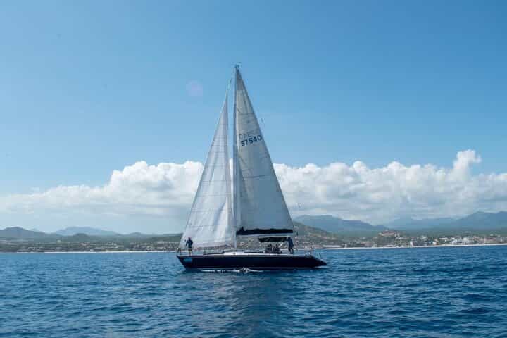 טיול פרטי בים קורטס: טיול שקיעה או שנורקלינג