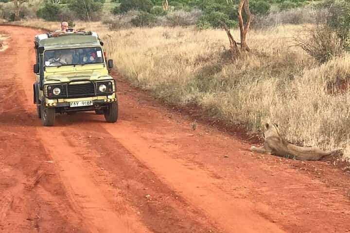 נסיעת משחק פרטית במאסתי מארה