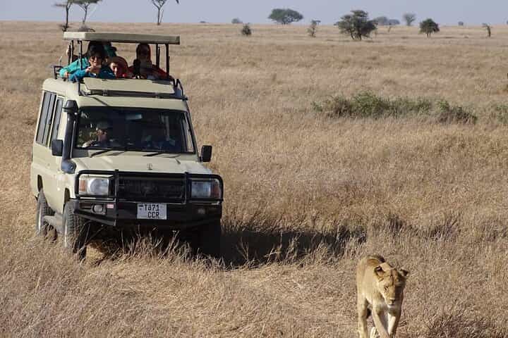 נסיעת משחק פרטית במאסתי מארה