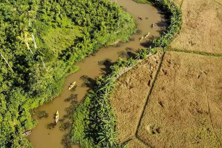 חוויה פרטית של קיאקים בגלה במשך ארבע שעות