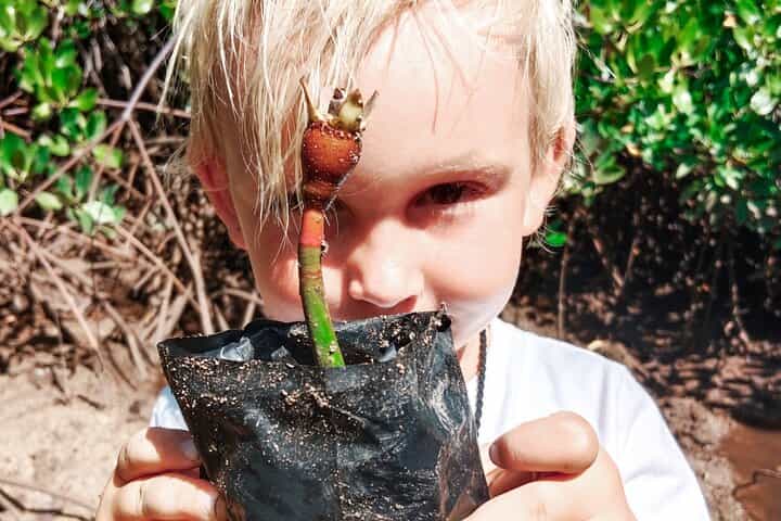 תוכנית אקוטורסימד לחודש אחד בבאלי, נוסה פנידה