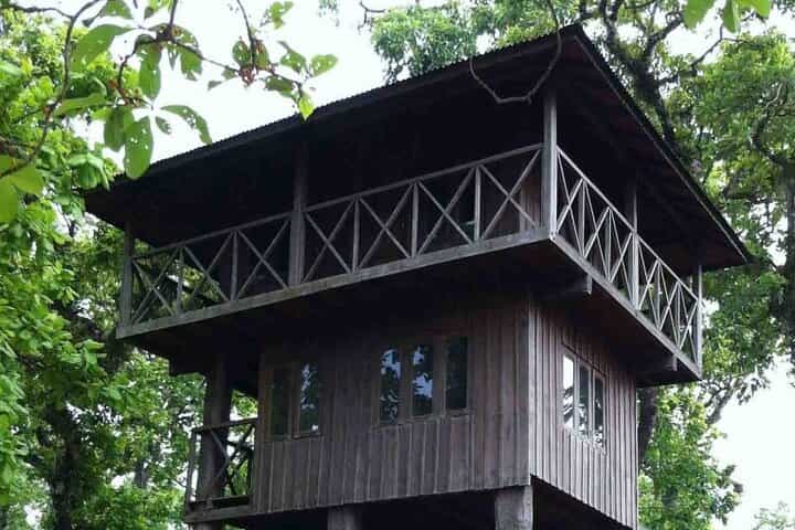 2 Nights 3 Days Jungle Tower Stay Package :Chitwan National Park