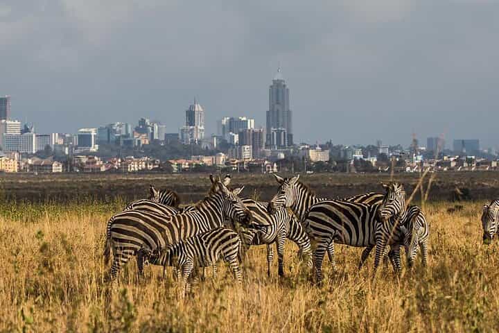 Nairobi National Park, Karen Blixen, Beads Center &Cultural dance
