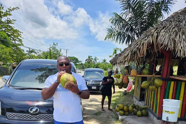 Private Montego Bay Airport Transfer to Negril/Westmoreland Hotel