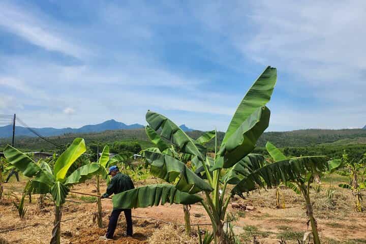 Da Nang ATV Quad Bike Adventure & BBQ Feast