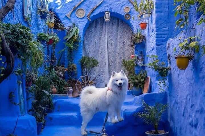 מסע פרטי מפס לטנג'יר דרך שף שאואן או מהכיוון ההפוך