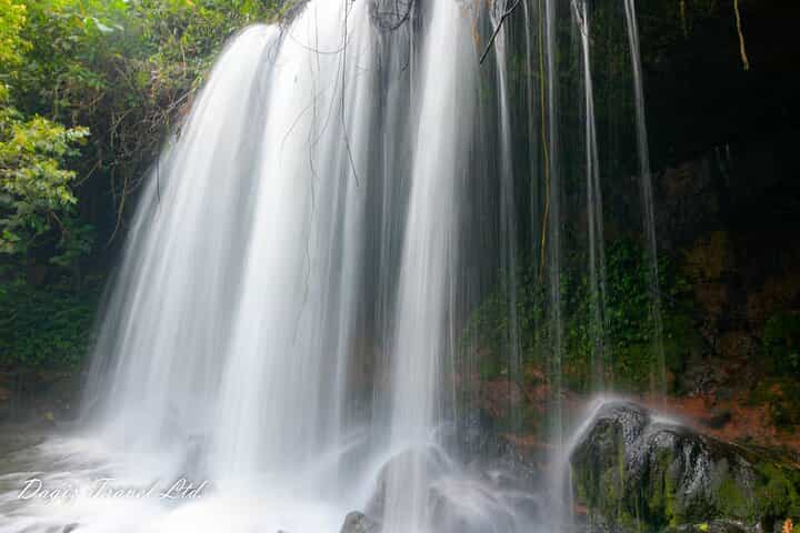 חוויה של 3 ימים של טיול גורילות באוגנדה