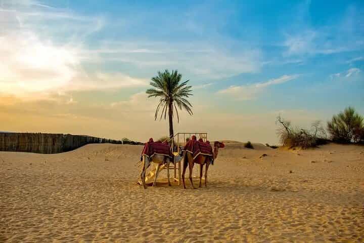 Shared Morning Desert Safari with Breakfast