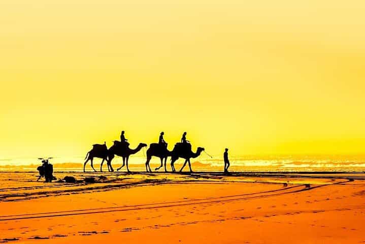 From Marrakech To Essaouira Mogador Full Day Trip | Small-group