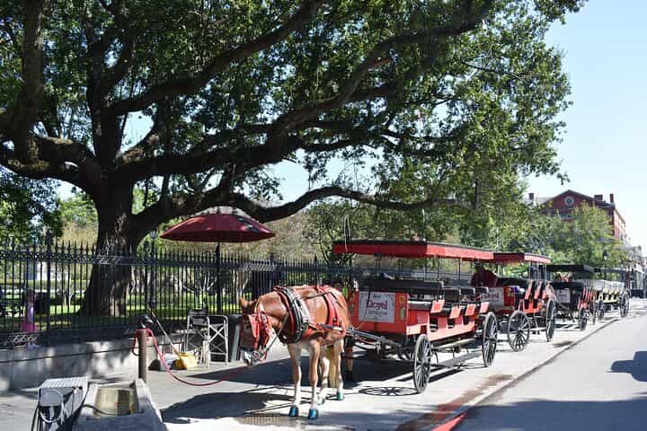 45-Minute French Quarter Highlights Tour in New Orleans