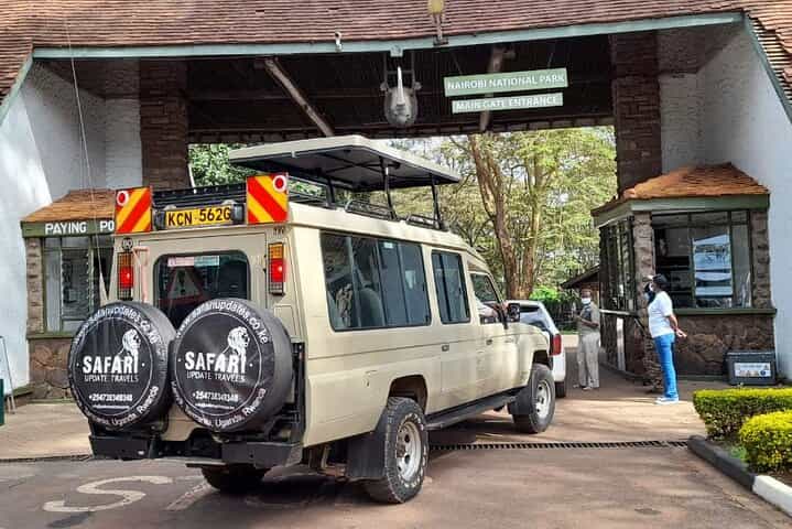 טיול ספארי פרטי חצי יום בבעלי חיים בפארק הלאומי ניירובי