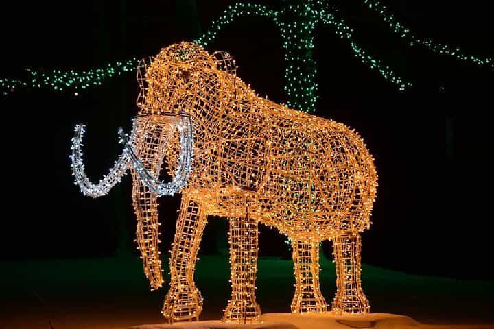 מטורונטו: סיור ערב לפסטיבל האורות החורפי במפלי ניאגרה