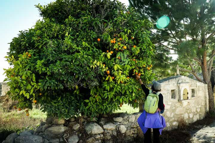 Crete: Margarites Valley Guided Hike