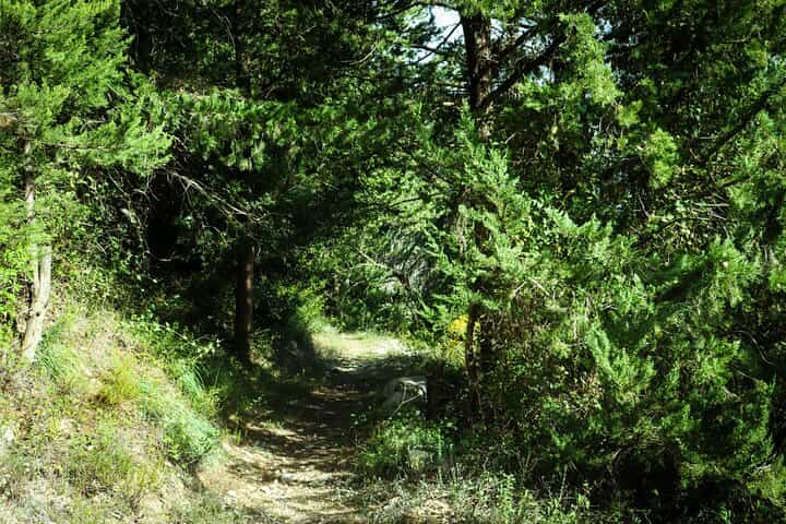 Crete: Margarites Valley Guided Hike