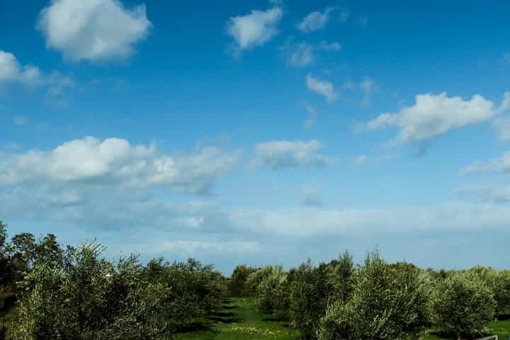 Crete: Margarites Valley Guided Hike