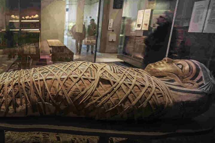 סיור חצי יום בביקור במוזיאוני לוקסור ומומיה