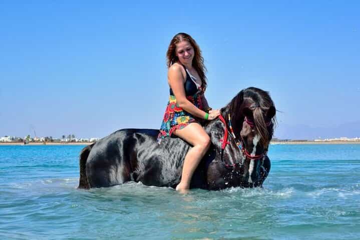 2-Hour Desert & Seaside Horse Ride in Sharm El-Sheikh