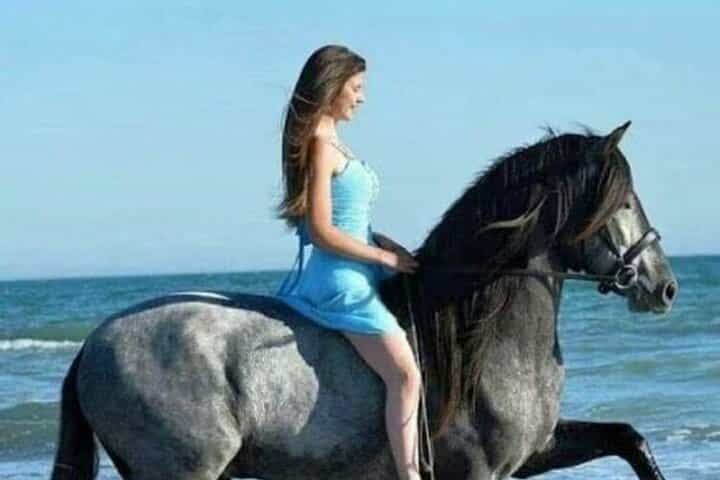 2-Hour Desert & Seaside Horse Ride in Sharm El-Sheikh