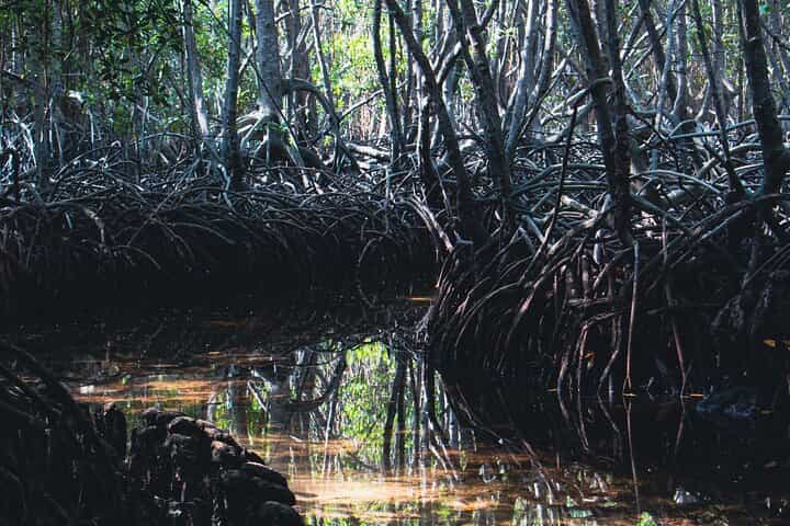 תוכנית אקוטורסימד לחודש אחד בבאלי, נוסה פנידה