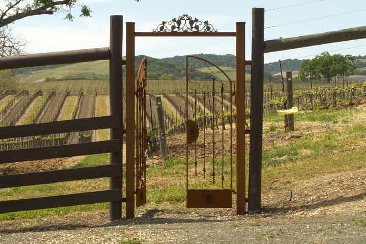 Paso Robles Wine Tour - Self-Guided Audio Experience