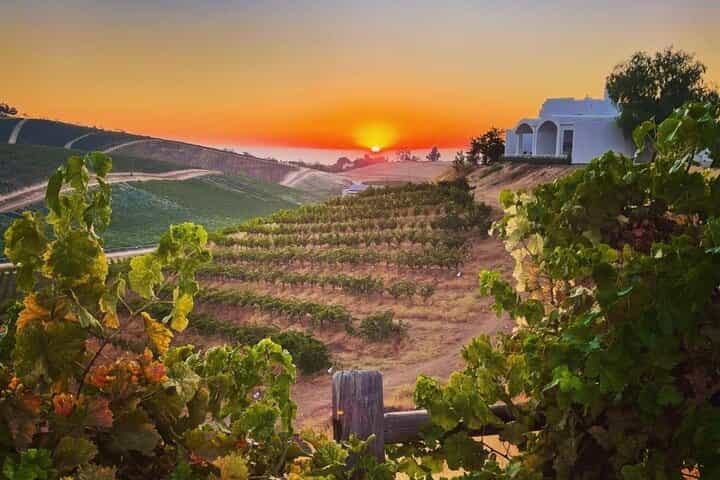 Paso Robles Wine Tour - Self-Guided Audio Experience