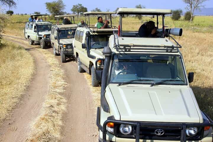  סיור ספארי של 3 ימים לפארק הלאומי סרנגטי