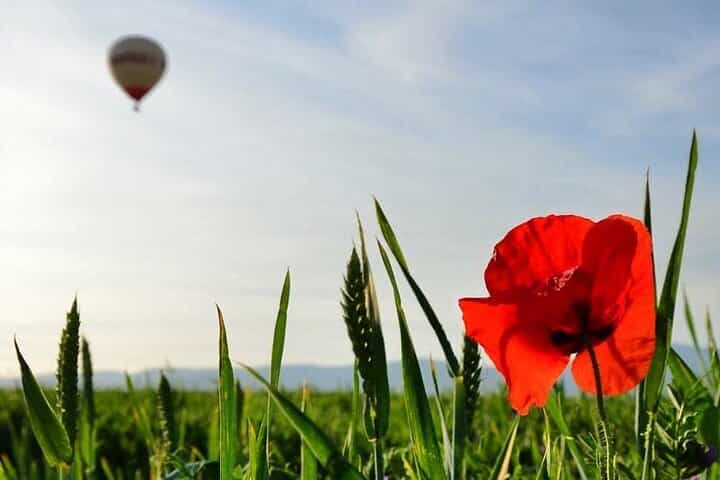 טיול כדור פורח בארנחואז עם בראנץ' כלול
