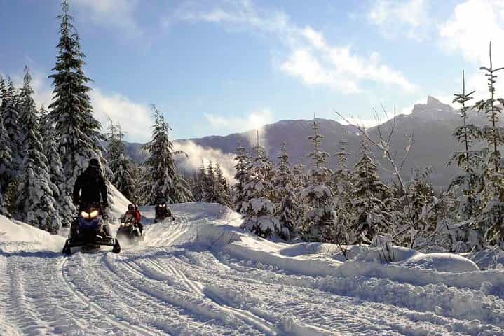 סיור הרפתקאות בטבע של 3 שעות בוויסטלר