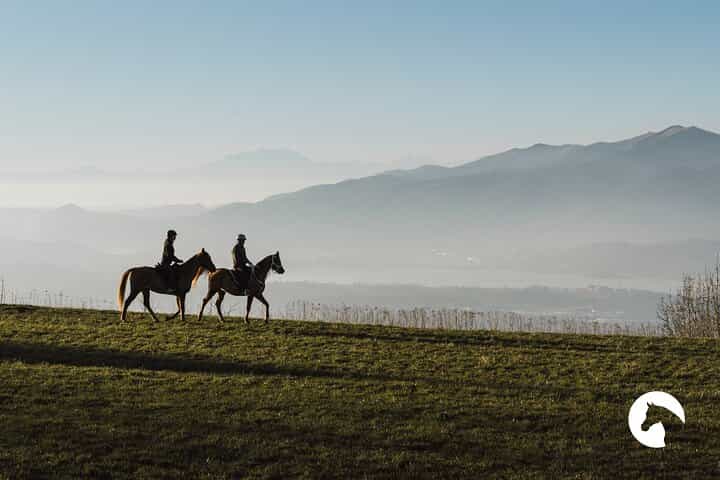 רכיבה על סוסים עבור מומחים בין האגם להרים