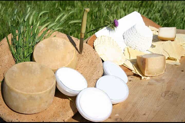 חוו חווית רועה עם ארוחה טיפוסית בביטי