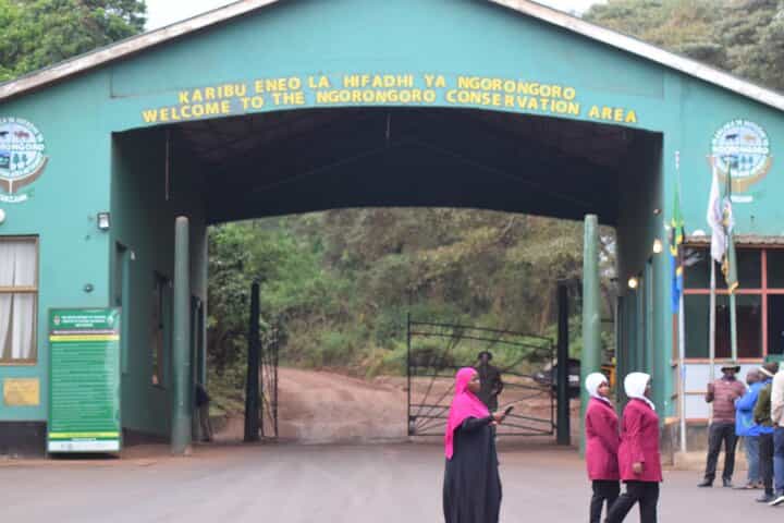 4 ימים ספארי קבוצתי בדרגת ביניים בסרנגטי ונגורונגורו