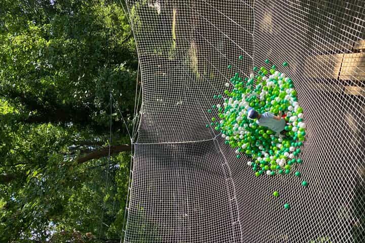 מסלול הרפתקאות בעצי הדקל בלב פואסי