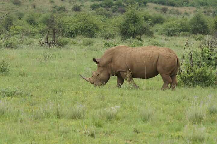 Best 3-Days 2-nights Tanzania Private Budget Camping Safari