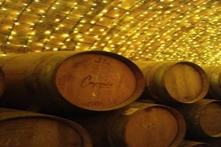 חוויה פרטית של עיר הטקילה מחליסקו