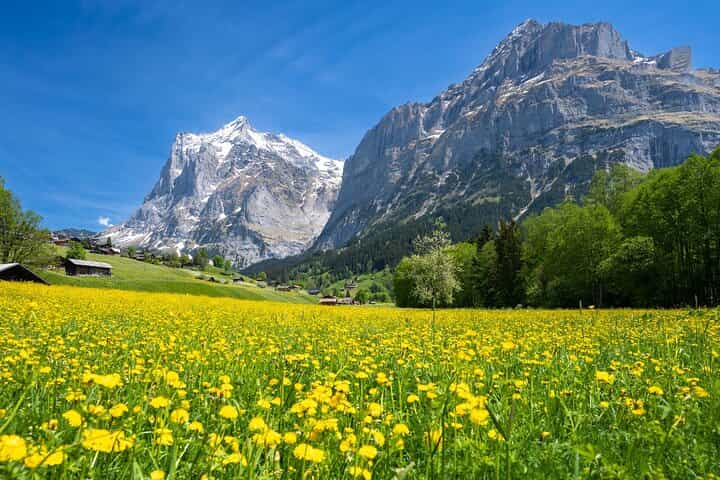 סיור הגדולה האלפינית מזוריך ליאונגפרויוך