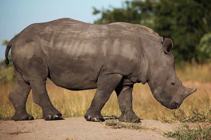 Sossusvlei, Swakopmund and Etosha National Park (Camping)7 D/6 N