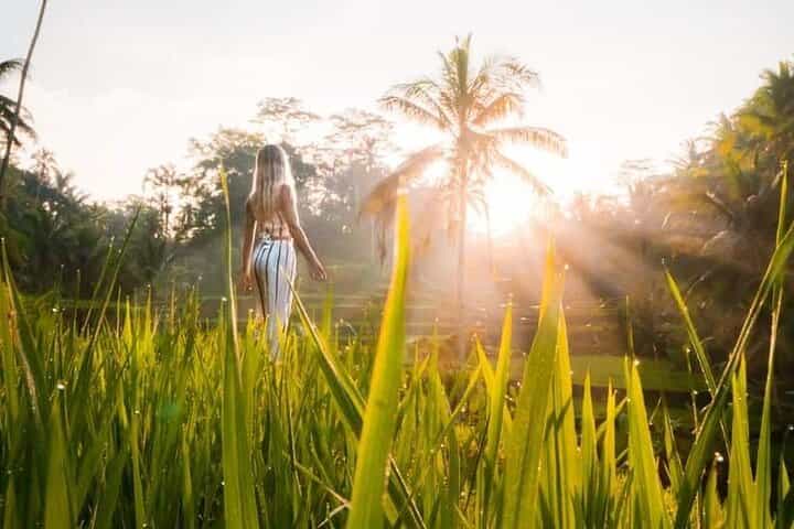 Ubud Waterfalls, Temple & Rice Terraces Private Tour
