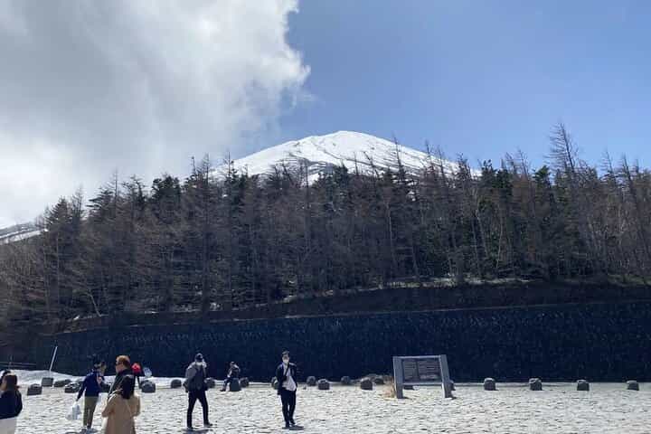 סיור יום פרטי בהר פוג'י והאקונה מטוקיו