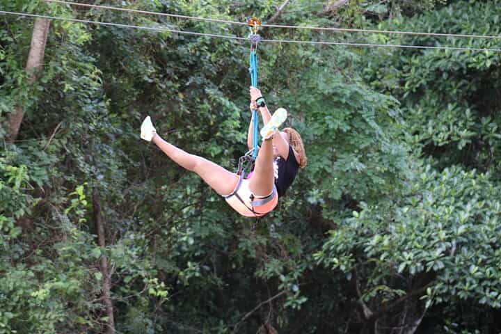 Roatan Zip Line Wildlife & Glass Bottom Boat Combo