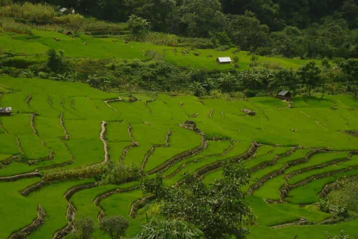טיול של 4 ימים בנגאלנד עמק דזוקו