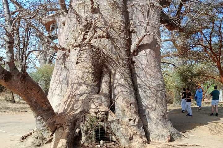 דקר, אגם ורוד וספארי בפארק בנדיה (מינימום 2 משתתפים)