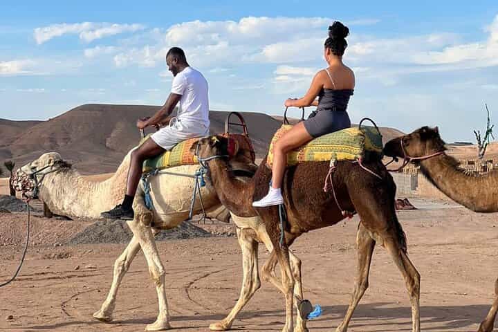 רכיבת חתול במדבר אגפאי و מופע ערב קסום