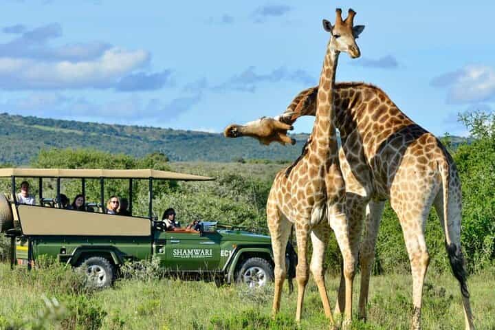 Full Day Tala Game Reserve & Durban City Tour