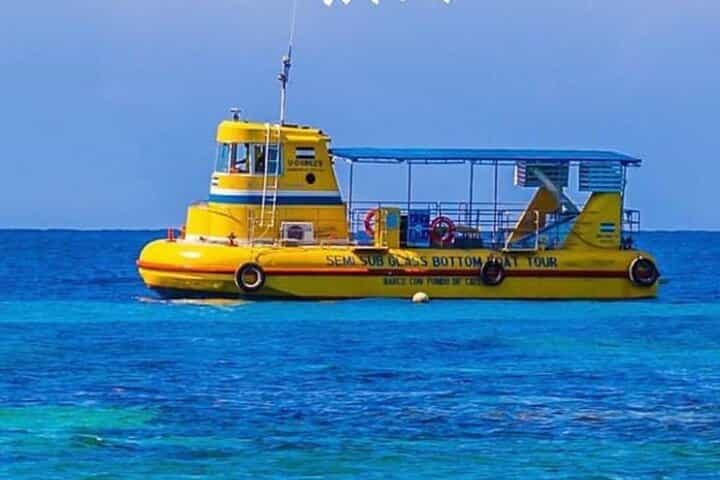 Roatan Zip Line Wildlife & Glass Bottom Boat Combo