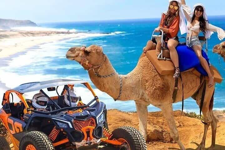 רכיבת גמלים, UTV וסיור הקשת עם ארוחת צהריים וטעימת טקילה!