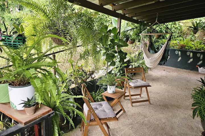 Private Puerto Rican Cooking Class with Cocktails Near San Juan