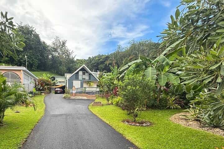 Private Puerto Rican Cooking Class with Cocktails Near San Juan